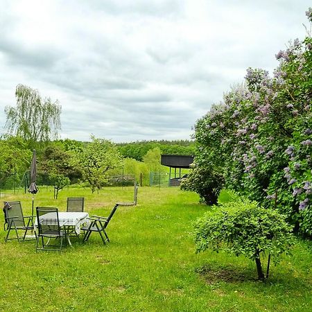 Gutshaus Neu Necheln Apartment Bruel Bagian luar foto