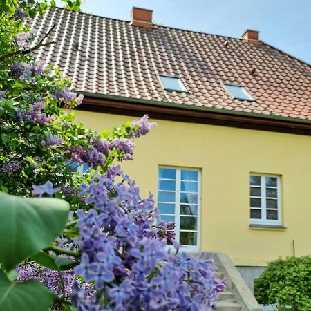 Gutshaus Neu Necheln Apartment Bruel Bagian luar foto